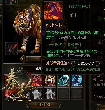 坐骑技能 坐骑技能